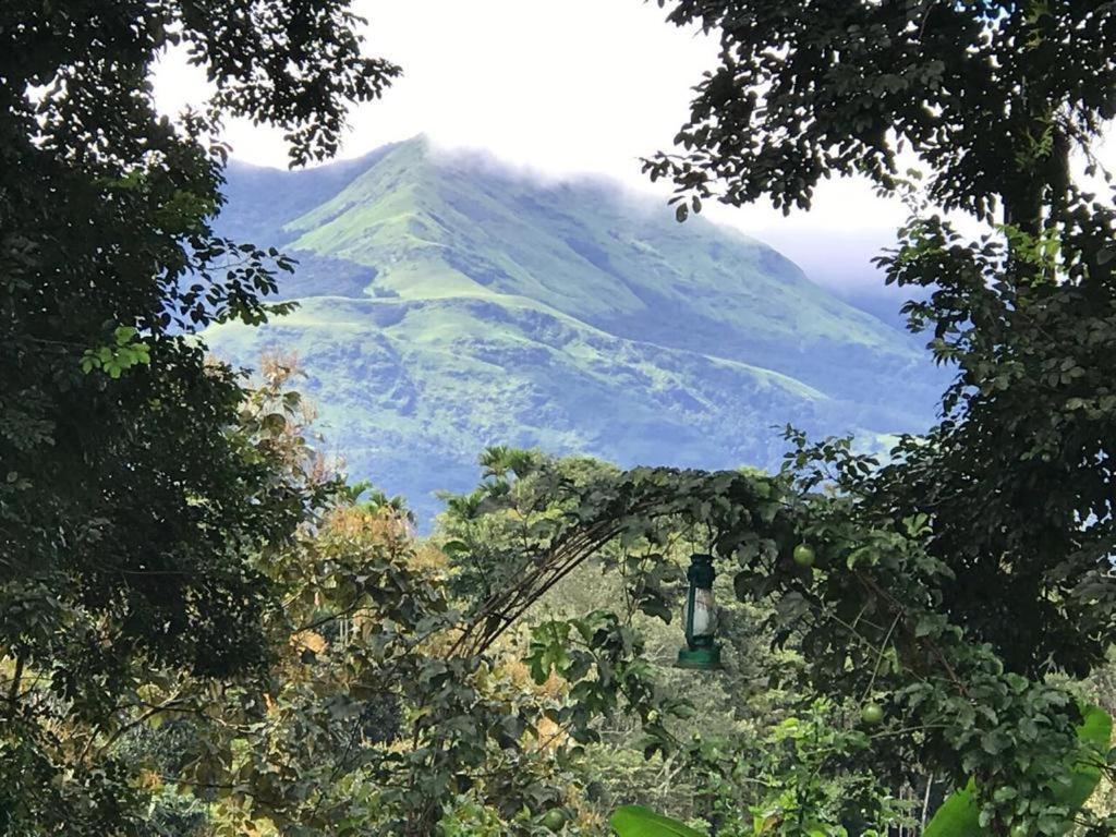 Western Ghats Holiday Home 칼파타 외부 사진